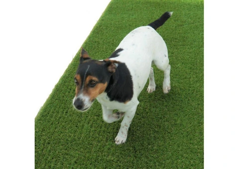 Elevate Your Outdoors with Aurelie 30mm Artificial Grass (Upto 15% Off!) - 2/2