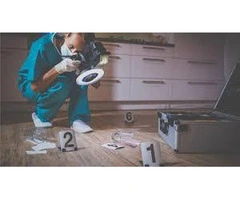 Explore Crime Psychology Online