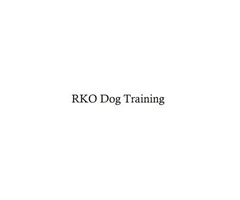 Proven Essex Dog Training Solutions
