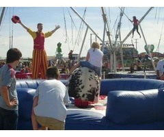 Rodeo Bull HIre | Novel Events