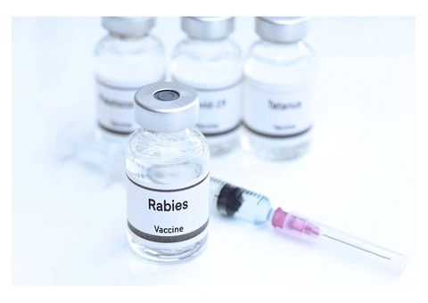 Rabies Prevention and Control Measures - Intrigue Health