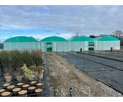 Commercial polytunnels