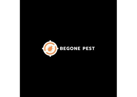 Keep Your Home Pest-Free with Begone Pest - Trusted Pest Control Services in Bromley - 1/3