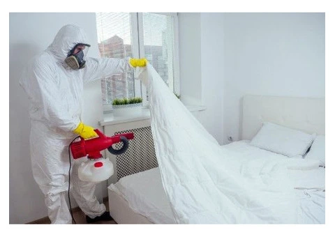 Keep Your Home Pest-Free with Begone Pest - Trusted Pest Control Services in Bromley - 2/3