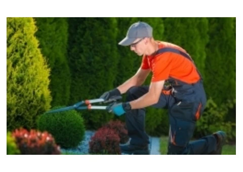 Best Gardening & outdoor services in Dundee