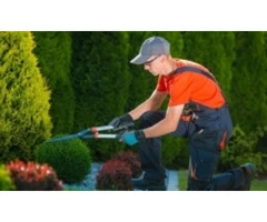 Best Gardening & outdoor services in Dundee