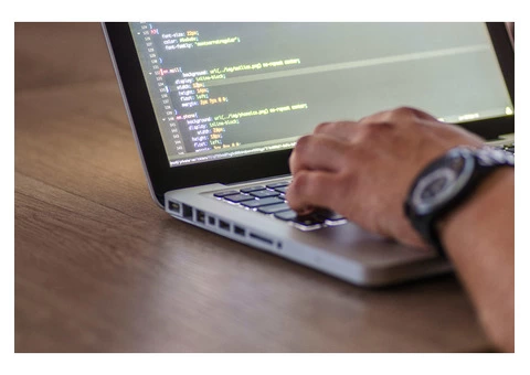Website Development Company Near Me
