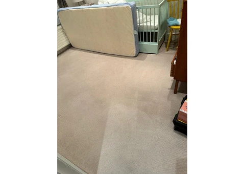 Professional Carpet Cleaning