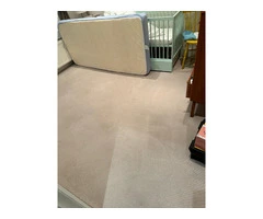 Professional Carpet Cleaning