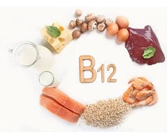 What Are Some Common Food Fortification Practices for Vitamin B12?