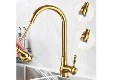 Antique Golden Brass Scalable Kitchen Spray Pull Out Kitchen Sink Tap TG0148 - 1/5