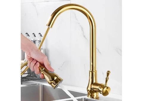 Antique Golden Brass Scalable Kitchen Spray Pull Out Kitchen Sink Tap TG0148 - 2/5