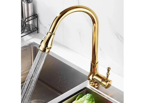 Antique Golden Brass Scalable Kitchen Spray Pull Out Kitchen Sink Tap TG0148 - 3/5