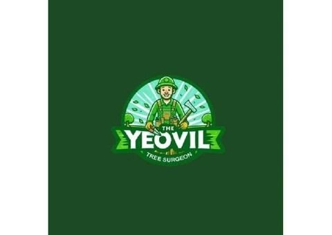 The Yeovil Tree Surgeon - 1/4