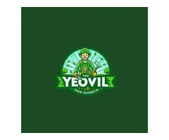 The Yeovil Tree Surgeon