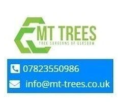 Tree Stump Removal Glasgow