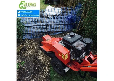 Elevating Green Spaces with MT Trees