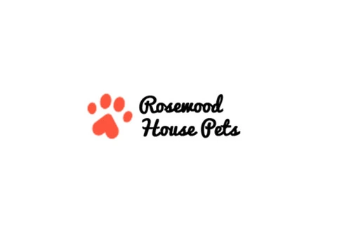 Puppies for sale Cheshire