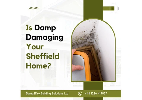 Is Damp Damaging Your Sheffield Home? Get Lasting Solutions with Damp2Dry!