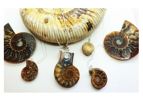 Ammonite Fossil: The Beauty Carved in Necklaces - 2/2
