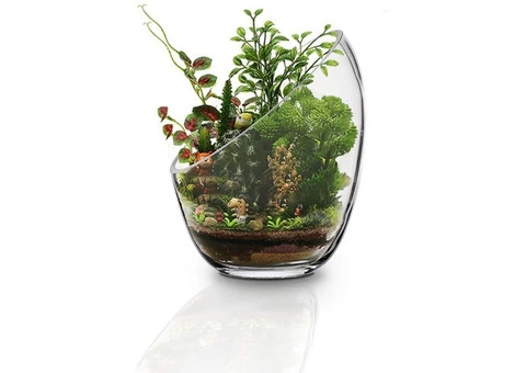 Buy FLORALCRAFT® Sharletta Bowl Terrarium - 1/3