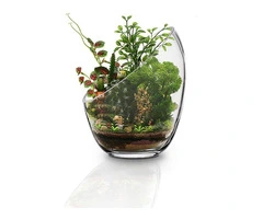 Buy FLORALCRAFT® Sharletta Bowl Terrarium