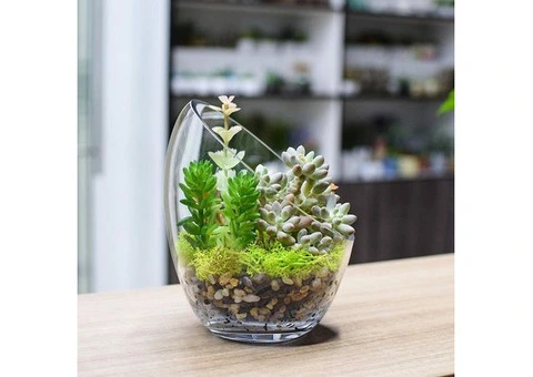 Buy FLORALCRAFT® Sharletta Bowl Terrarium - 3/3