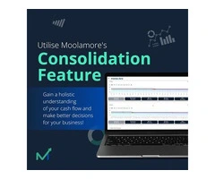 Unlock Your Financial Future with Moolamore Financial Forecasting Tool