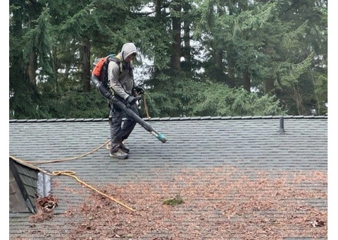 Roof Moss Removal Milton Keynes