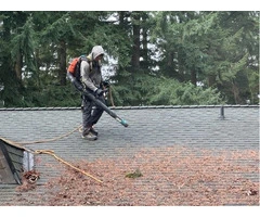 Roof Moss Removal Milton Keynes