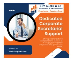 Dedicated Corporate Secretarial Support: Your Partner in Compliance and Governance