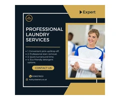 How Professional Laundry Services Handle Stubborn Stains and Odors