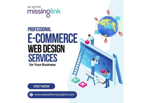 Professional E-commerce Web Design Services for Your Business