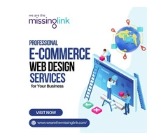 Professional E-commerce Web Design Services for Your Business