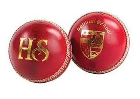 Logo-printed cricket balls