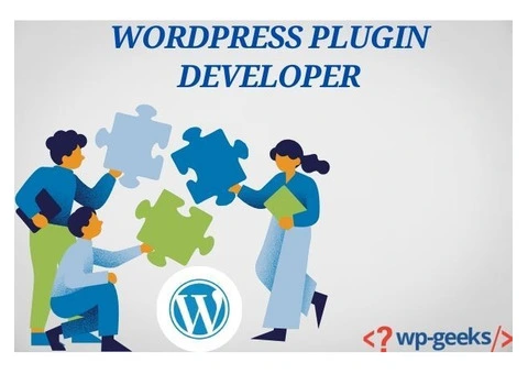 Hire Expert WordPress Plugin Developers at HireWPGeeks
