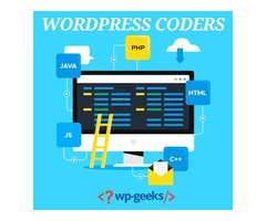 Top WordPress Coders for Your Next Project | HireWPGeeks