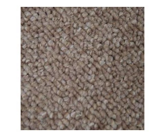 Luxurious Beige Carpets - Carpet Delivered