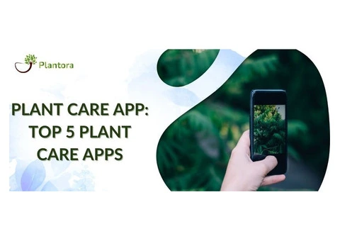 Let's Learn About The Top Plant Care Apps