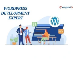 Hire a WordPress Development Expert with HireWPGeeks