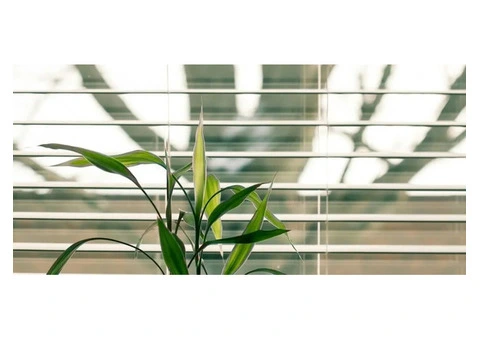 Enhance Your Space with Bespoke Blinds Benfleet Experts! - 4/4