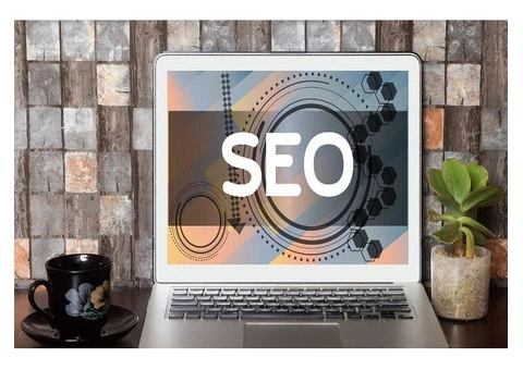 Organic SEO Services: Unleash Absolute Traffic Growth