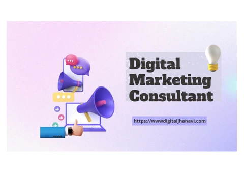 Digital Marketing Consultant