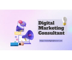Digital Marketing Consultant