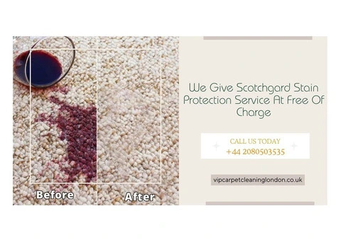 Acquire Guaranteed Satisfaction Only With Our Carpet Cleaning Services