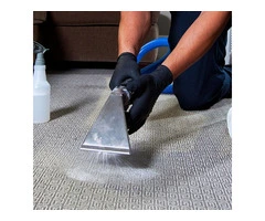 Discover Expert Carpet Cleaning in Middlesbrough