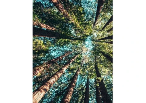 How to Trace Your Family Tree in the UK