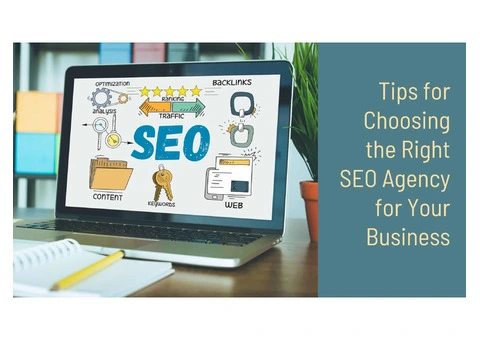 Boost Your Business with Expert SEO Services – Contact Us Now!
