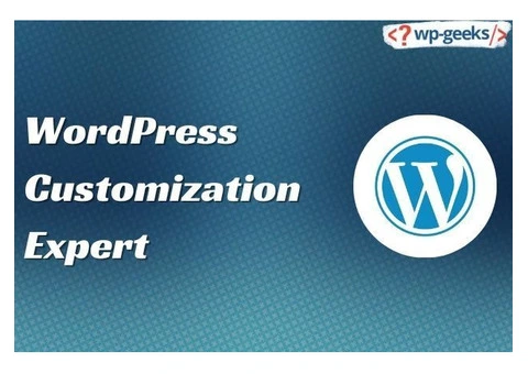 Expert WordPress Customization Services by HireWPGeeks