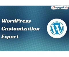 Expert WordPress Customization Services by HireWPGeeks